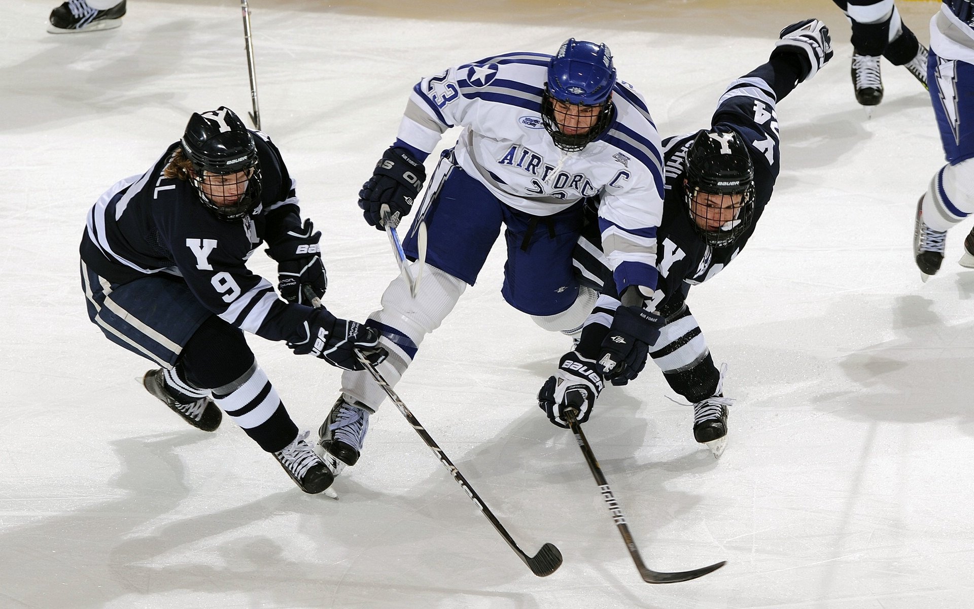 雄狮内线优势明显,带领球队一路高歌,雄狮足球