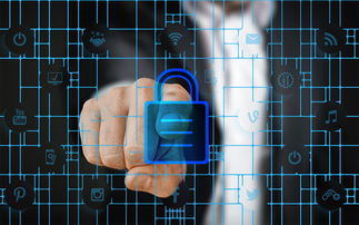 九游登录入口-体育特许经营管理制度构建与案例研究，体育行业特有职业培训试点单位