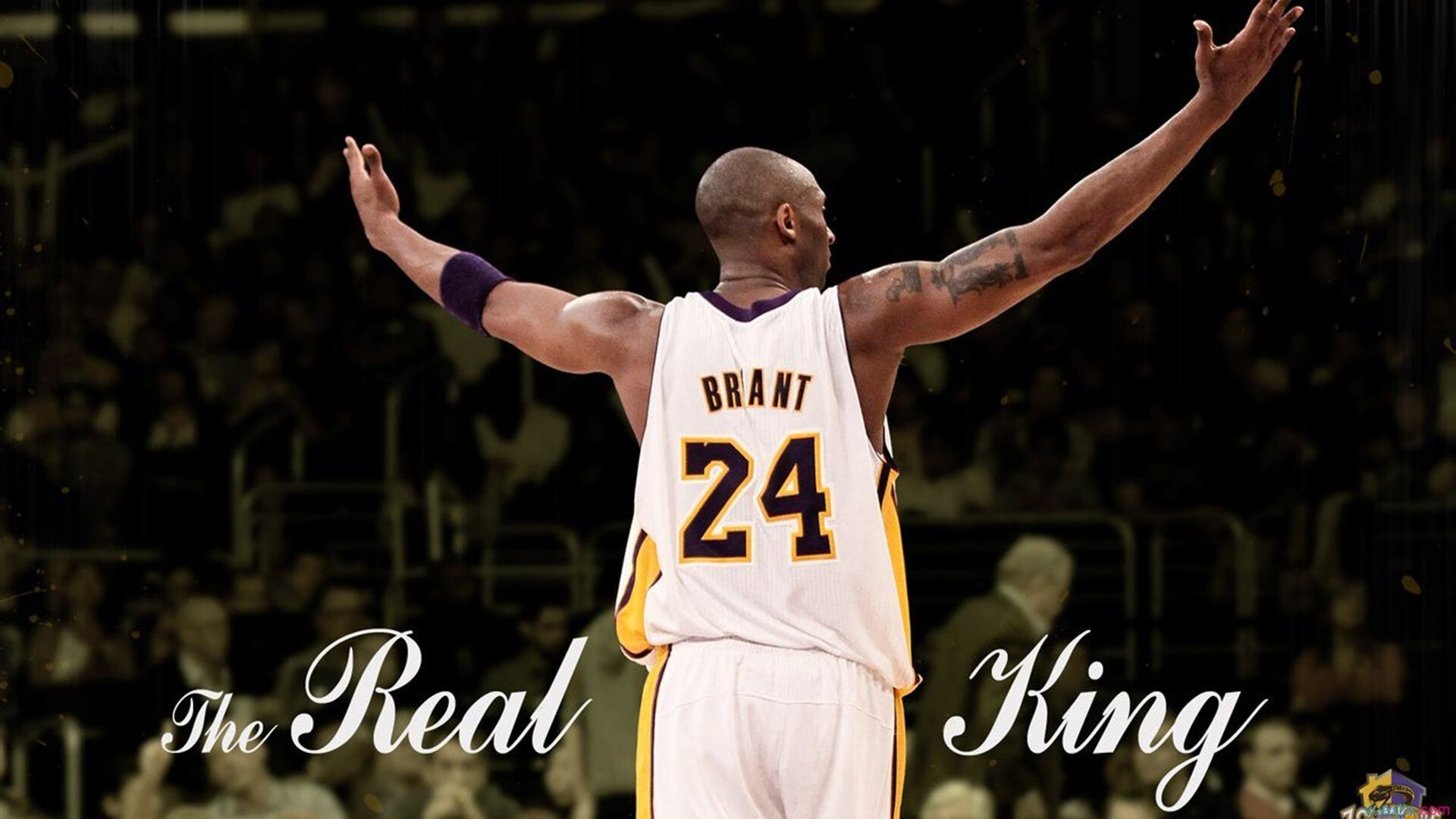 绿色低碳电竞新标杆：行业内环保理念的深入推行，绿色、低碳、环保